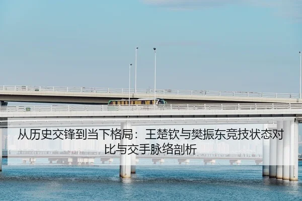 从历史交锋到当下格局：王楚钦与樊振东竞技状态对比与交手脉络剖析