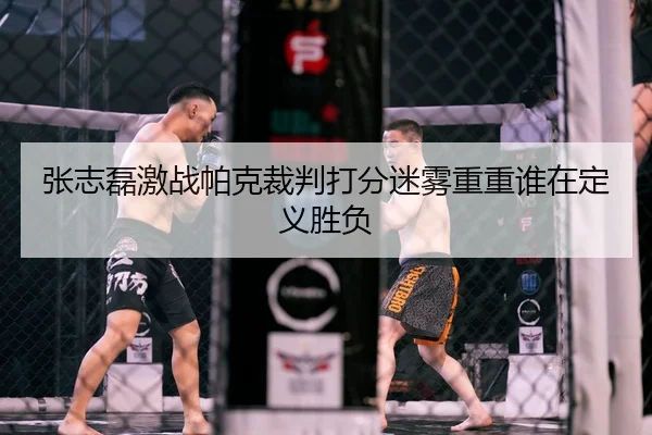 张志磊激战帕克裁判打分迷雾重重谁在定义胜负