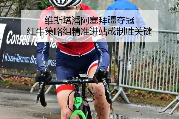 wei-si-ta-pan-a-sai-bai-jiang-duo-guan-hong-niu-ce-lve-zu-jing-zhun-jin-zhan-cheng-zhi-sheng-guan-jian-3-437.jpg