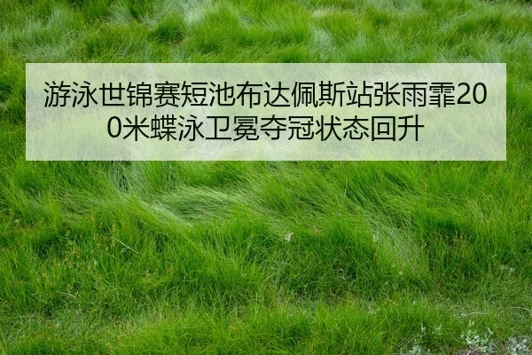 you-yong-shi-jin-sai-duan-chi-bu-da-pei-si-zhan-zhang-yu-fei-mi-die-yong-wei-mian-duo-guan-zhuang-tai-hui-sheng-2-340.jpg