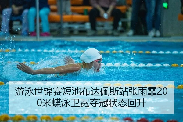 you-yong-shi-jin-sai-duan-chi-bu-da-pei-si-zhan-zhang-yu-fei-mi-die-yong-wei-mian-duo-guan-zhuang-tai-hui-sheng-3-345.jpg